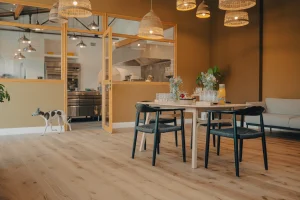 Salle réunion séminaire showroom Formation Valenciennes